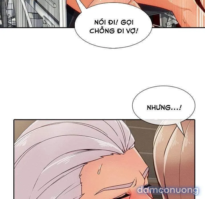 Quý Cô Chân Dài 
