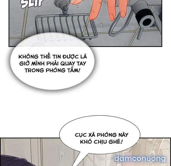 Quý Cô Chân Dài 