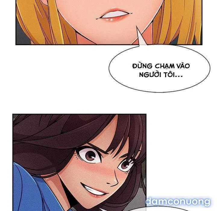 Quý Cô Chân Dài 