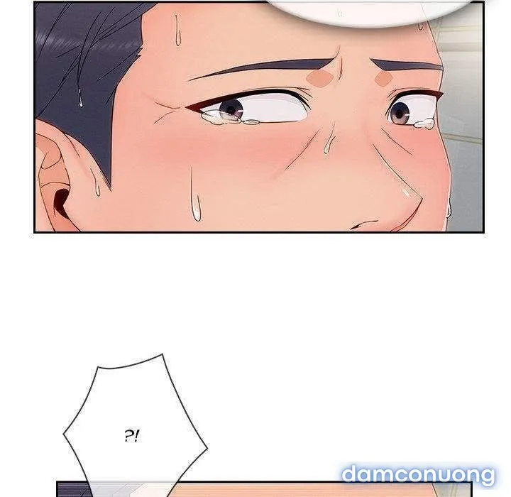 Quý Cô Chân Dài 
