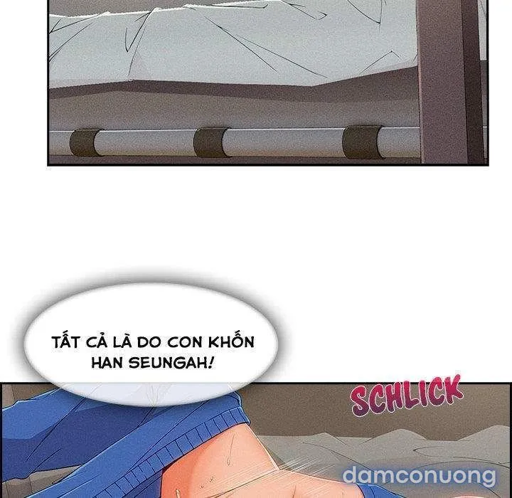 Quý Cô Chân Dài 