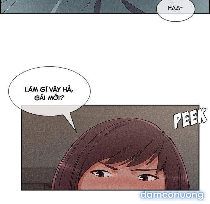 Quý Cô Chân Dài 