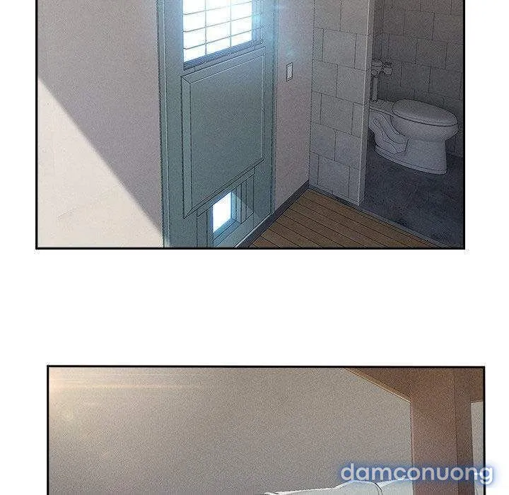Quý Cô Chân Dài 