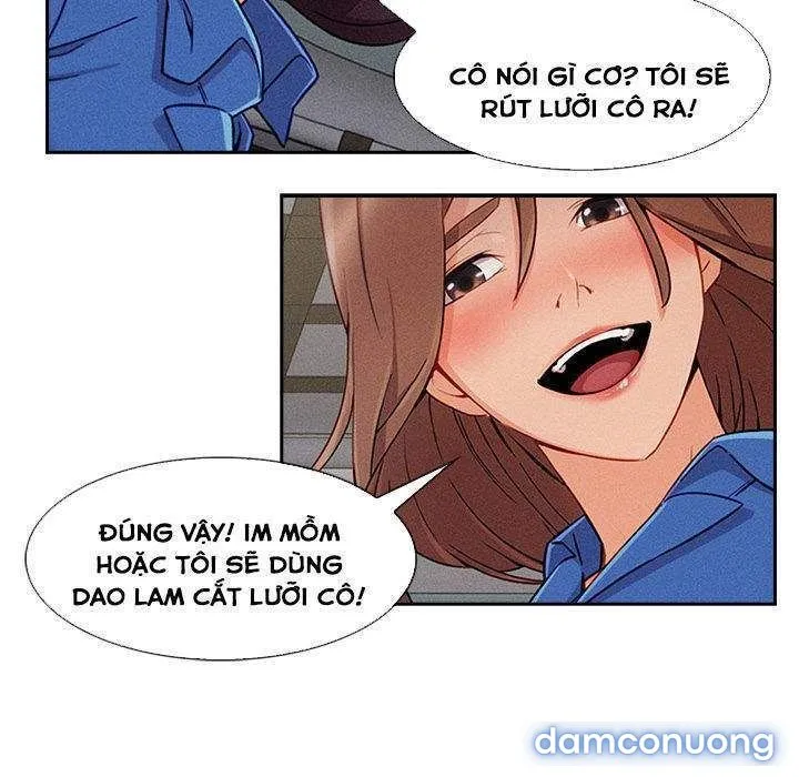 Quý Cô Chân Dài 