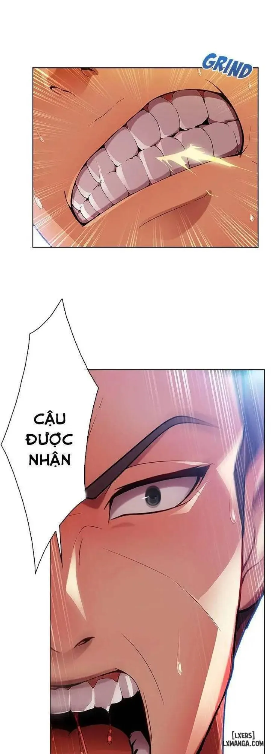 Quý Cô Chân Dài 