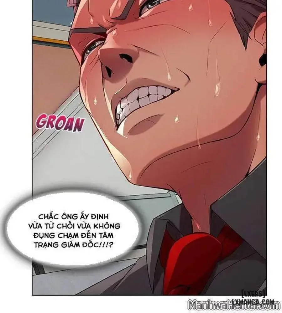 Quý Cô Chân Dài 