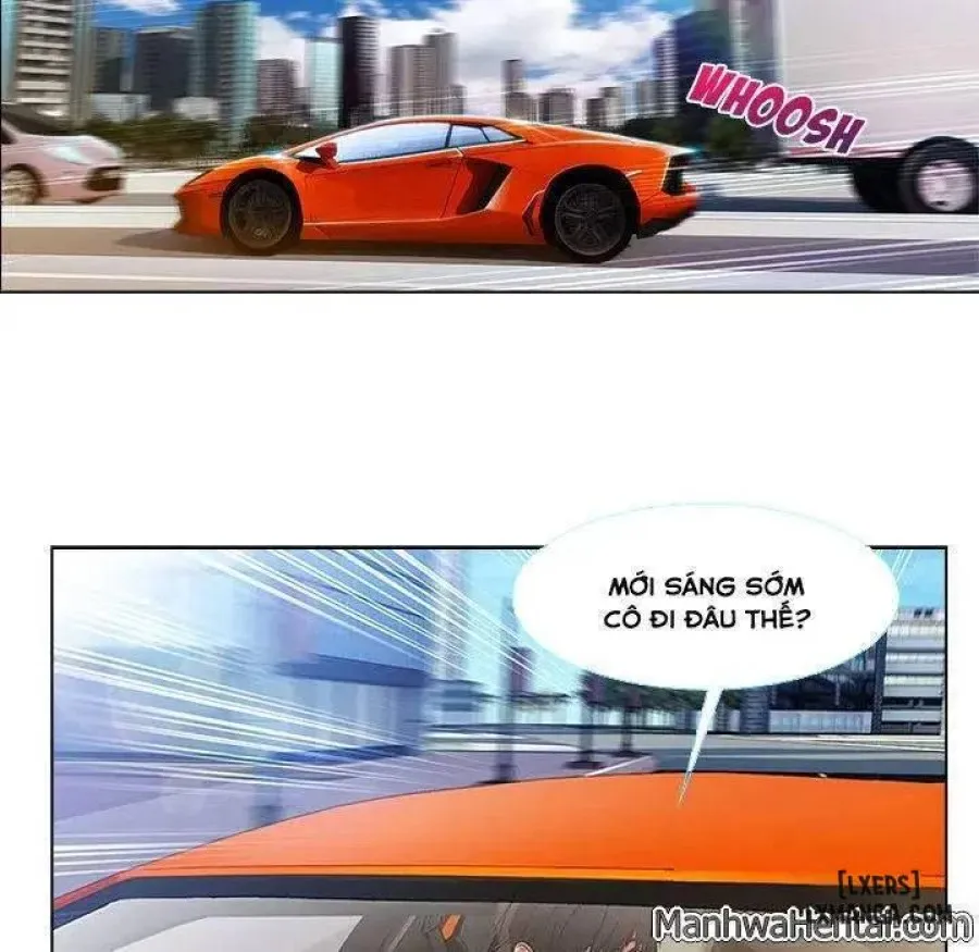 Quý Cô Chân Dài 