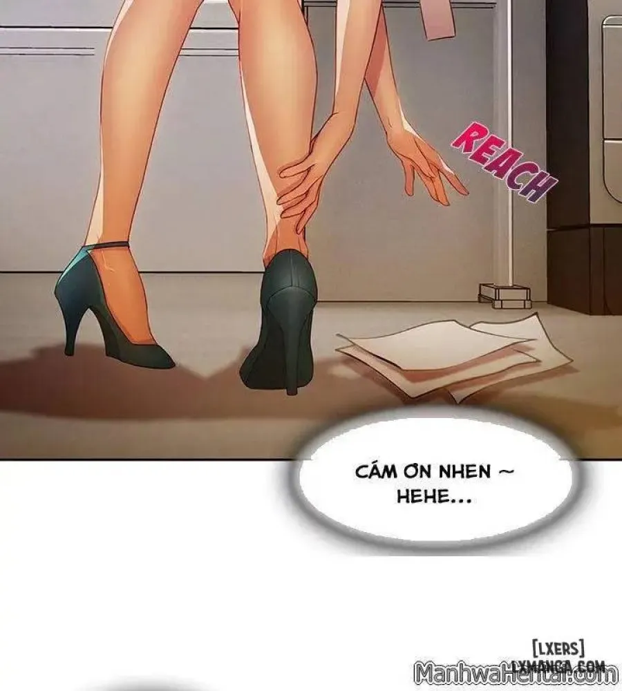 Quý Cô Chân Dài 
