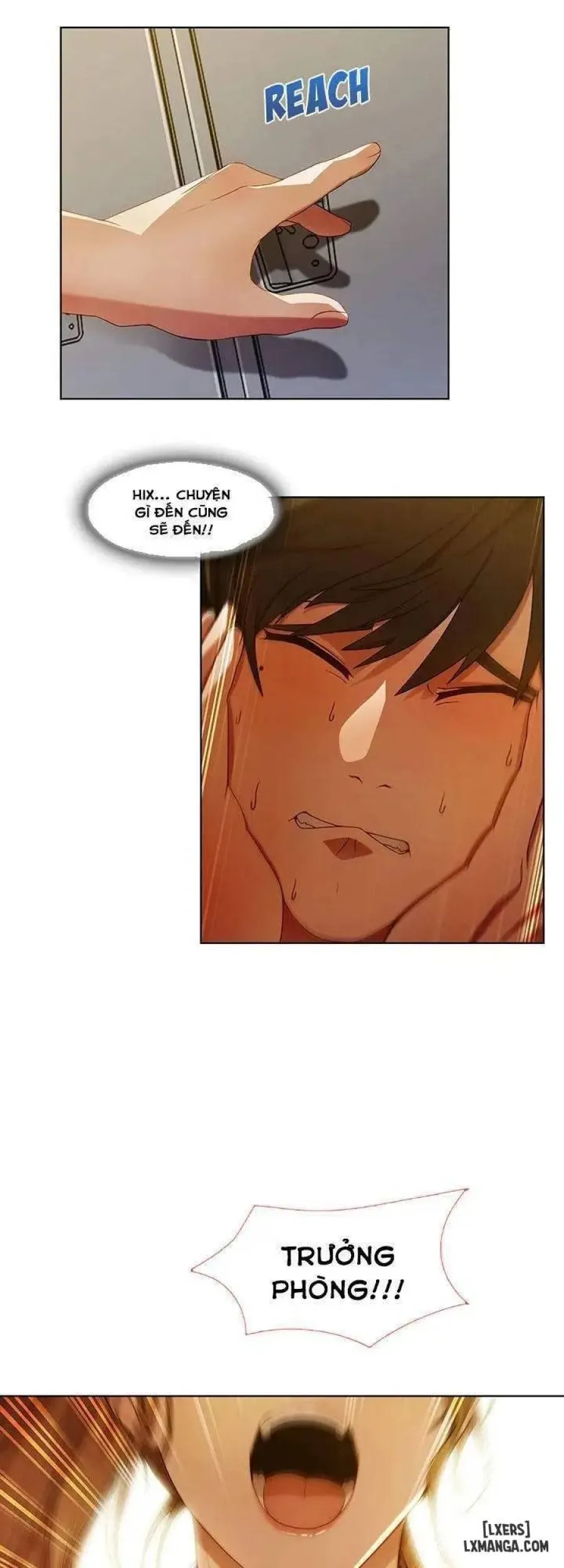 Quý Cô Chân Dài 
