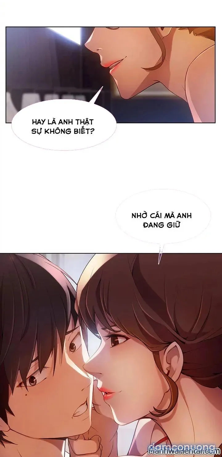 Quý Cô Chân Dài 