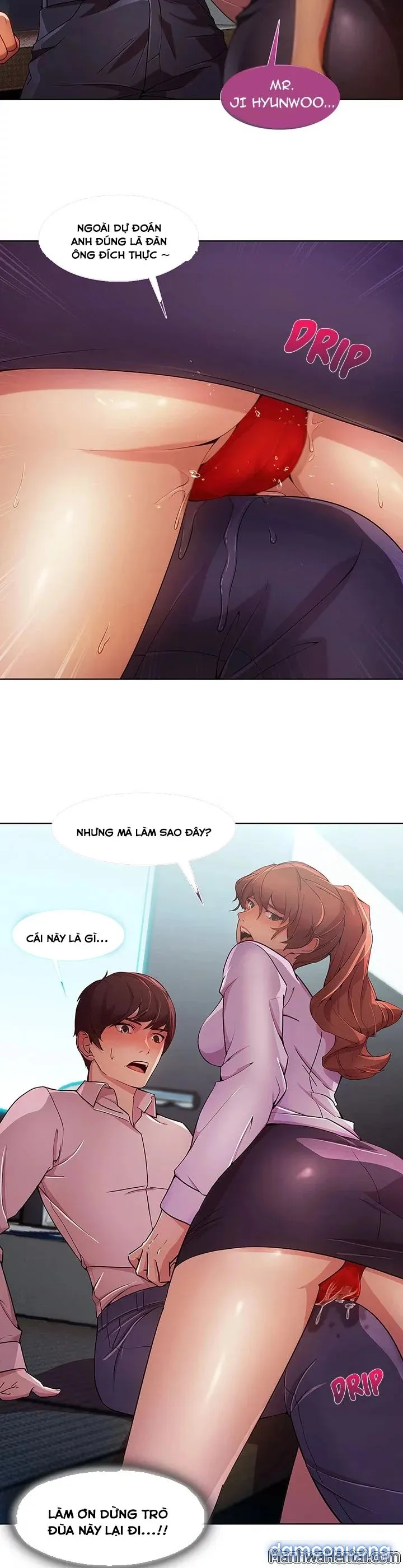 Quý Cô Chân Dài 