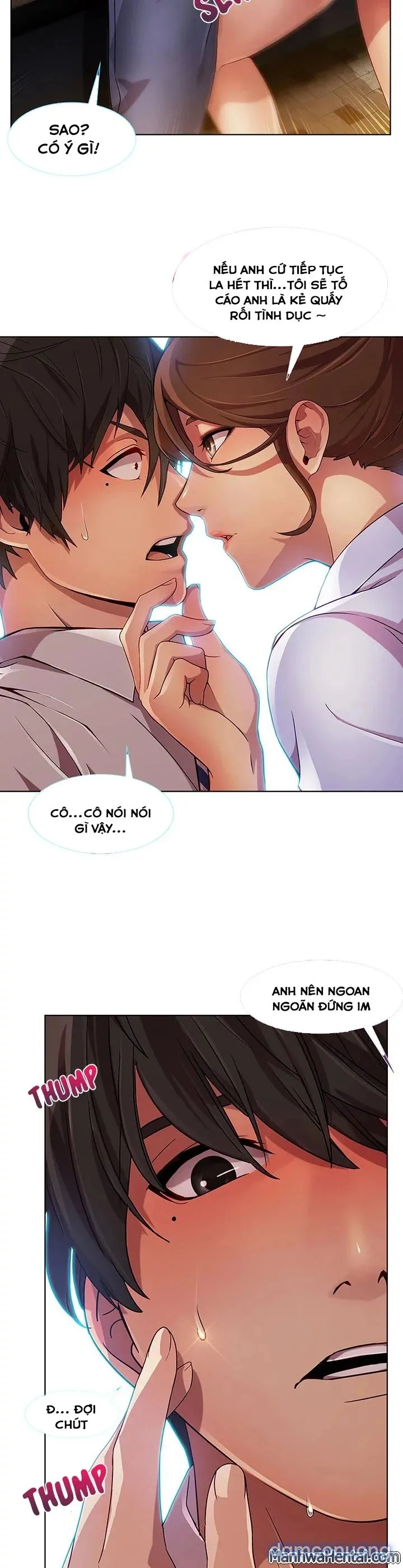 Quý Cô Chân Dài 