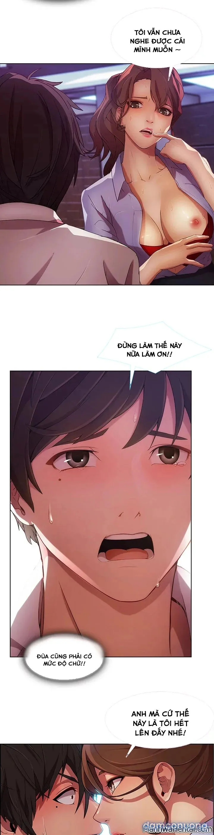 Quý Cô Chân Dài 
