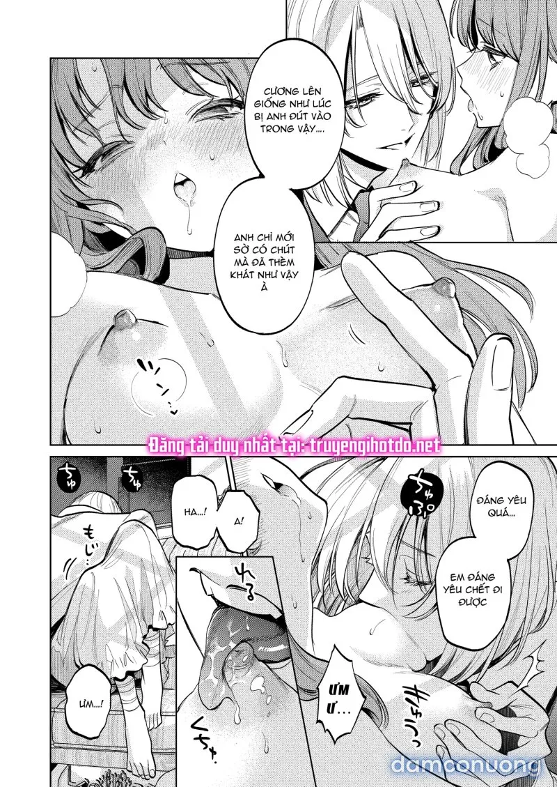 [21+] Chiếc Lồng Thỏ Ngọt Ngào Của Tôi 