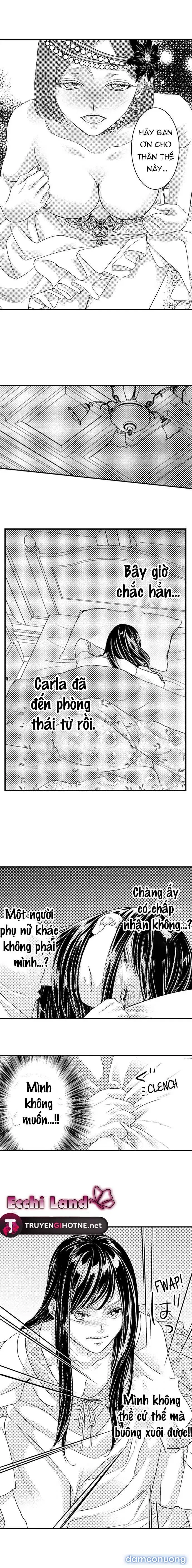 Chuyển Sinh Vào Thế Giới Khác ~ Nếu Muốn Trở Thành Nữ Hoàng Hãy Tìm Cách Để Được Hoàng Đế Sủng Ái Vào Ban Đêm 