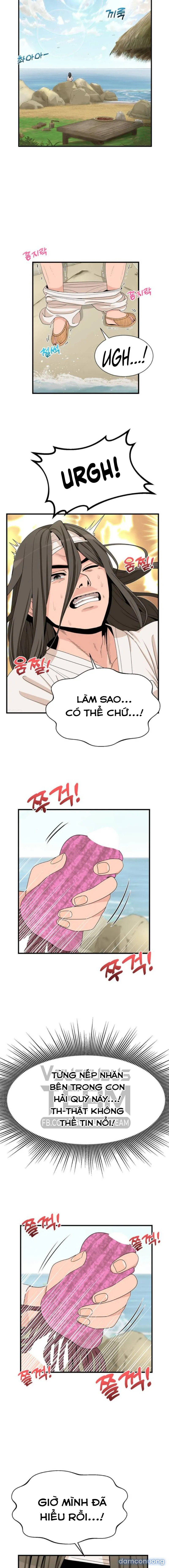 Đóa Hoa Chiến Loạn 