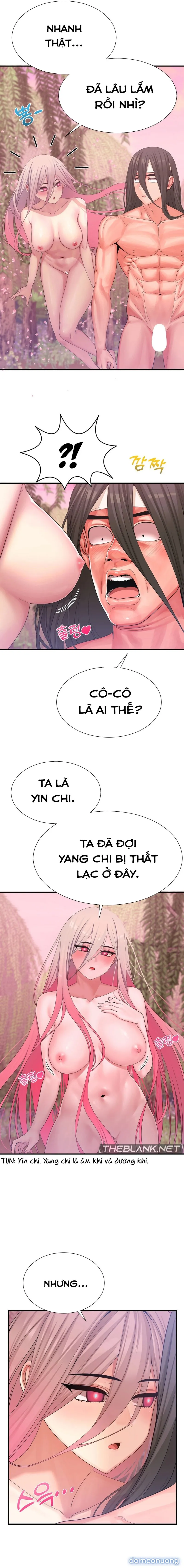 Đóa Hoa Chiến Loạn 