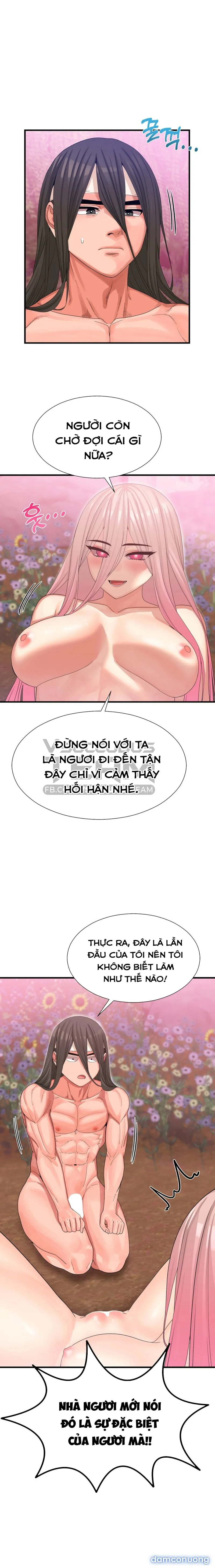 Đóa Hoa Chiến Loạn 