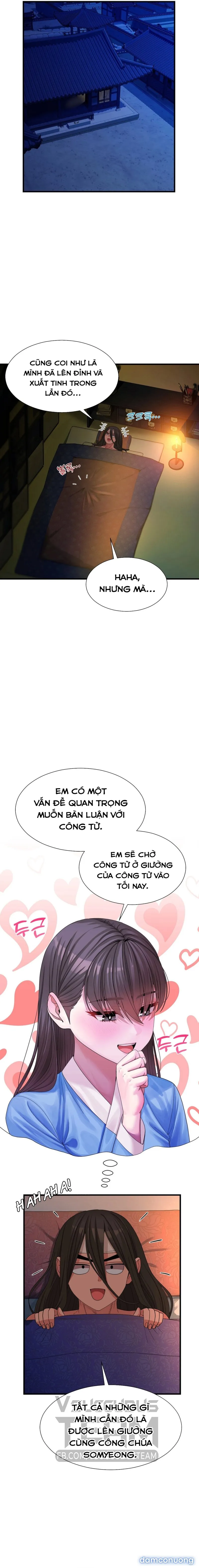 Đóa Hoa Chiến Loạn 