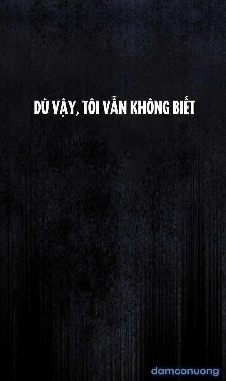 Kẻ Nghiệp Dư 