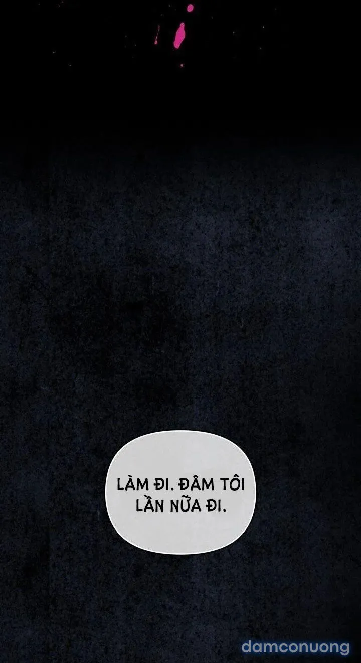Kẻ Nghiệp Dư 