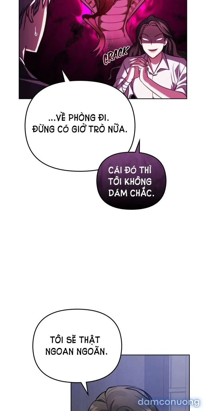 Kẻ Nghiệp Dư 