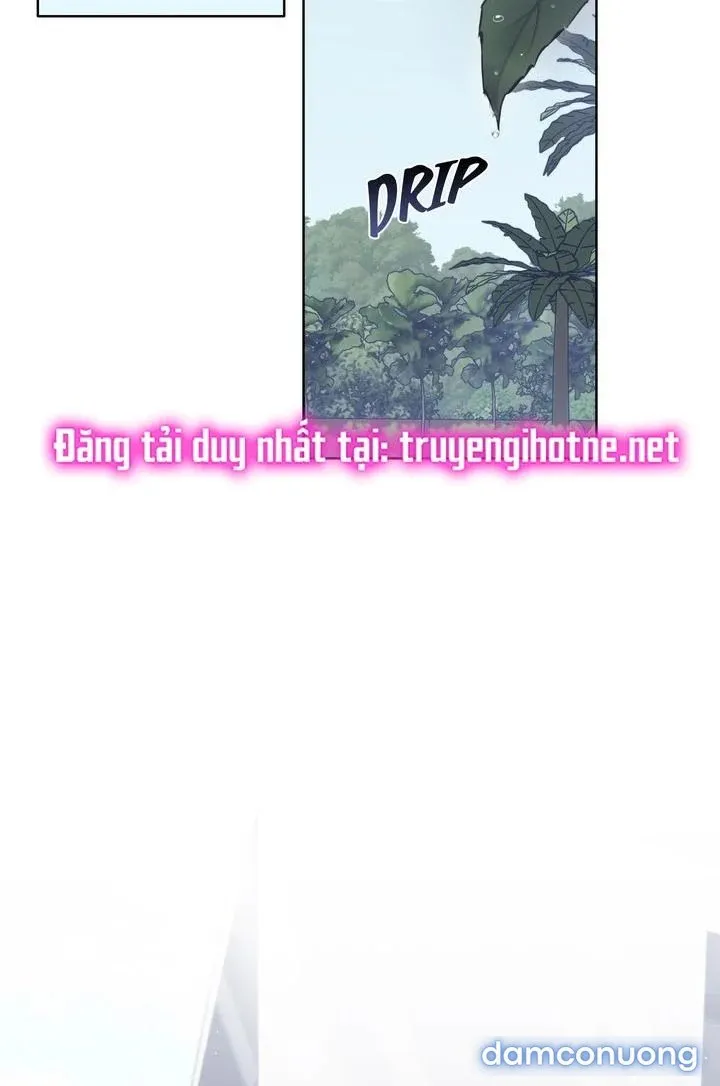 Kẻ Nghiệp Dư 