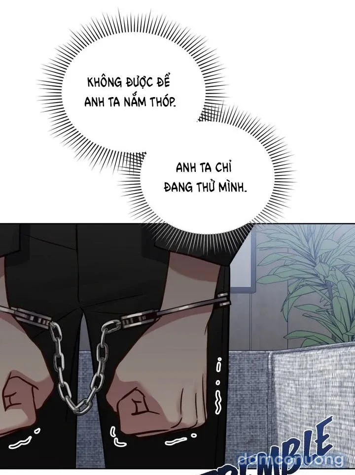 Kẻ Nghiệp Dư 