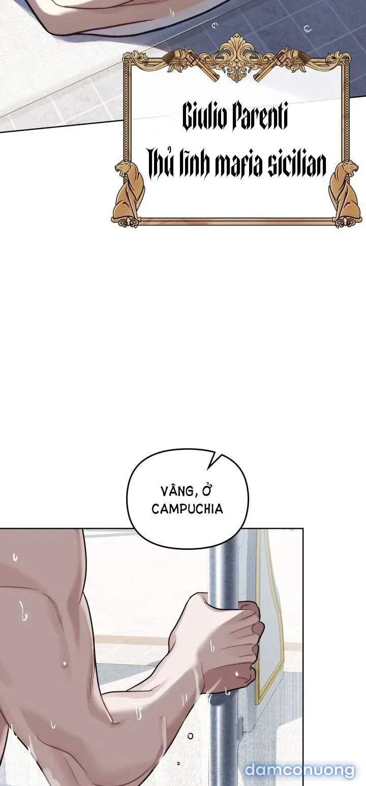 Kẻ Nghiệp Dư 