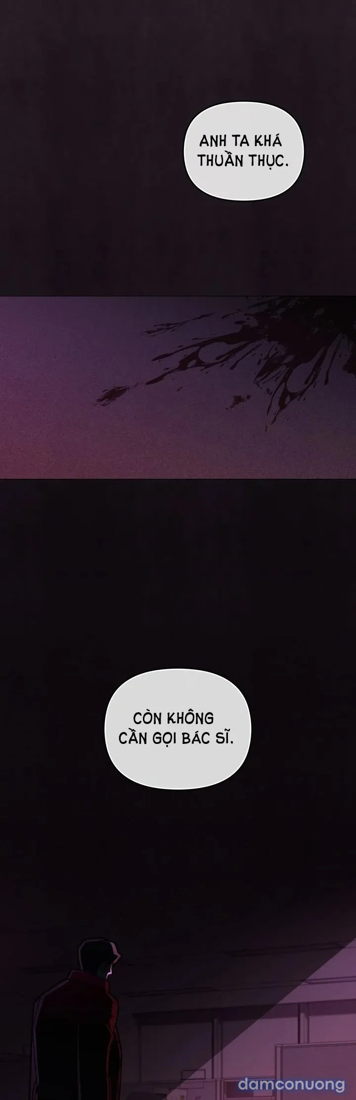 Kẻ Nghiệp Dư 