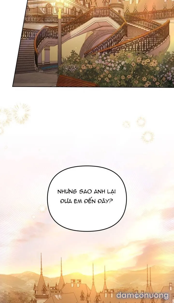 Kẻ Nghiệp Dư 