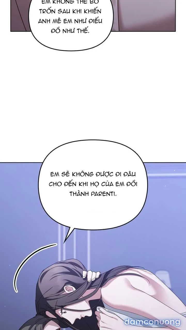 Kẻ Nghiệp Dư 
