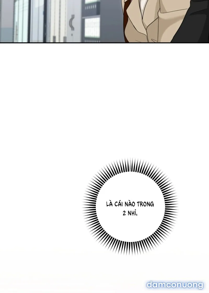 [18+] Tôi Đổ Anh Rồi, Trưởng Phòng 
