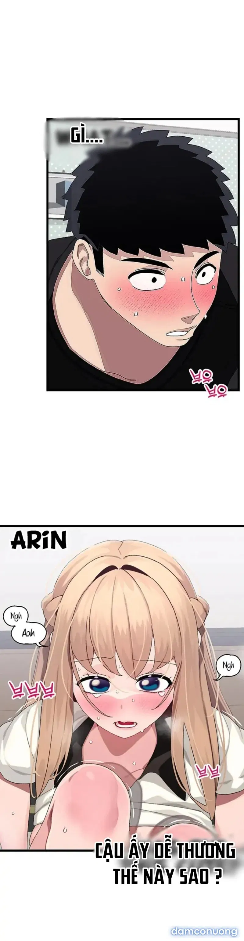 Liên Kết Doki Doki 