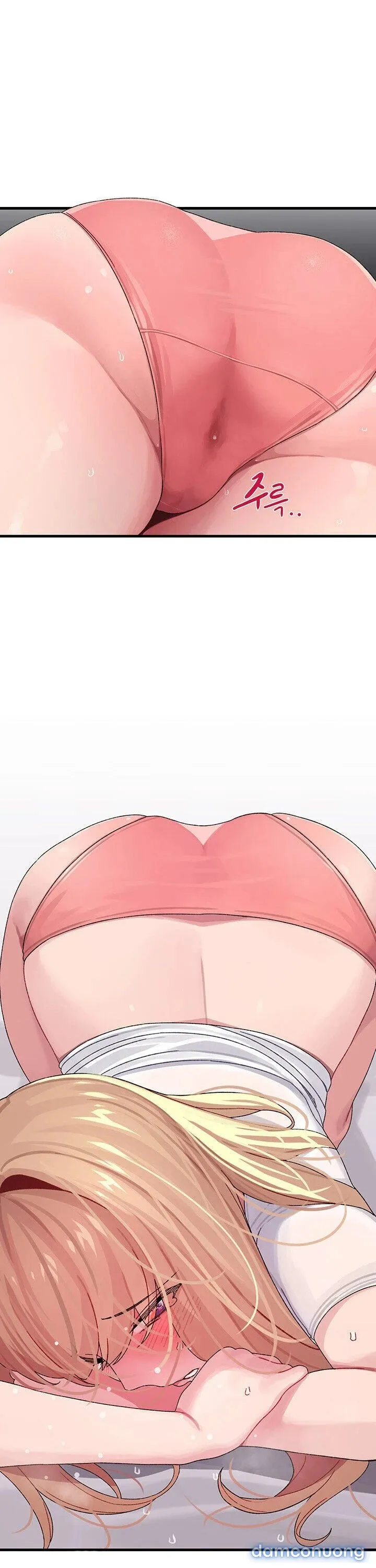 Liên Kết Doki Doki 