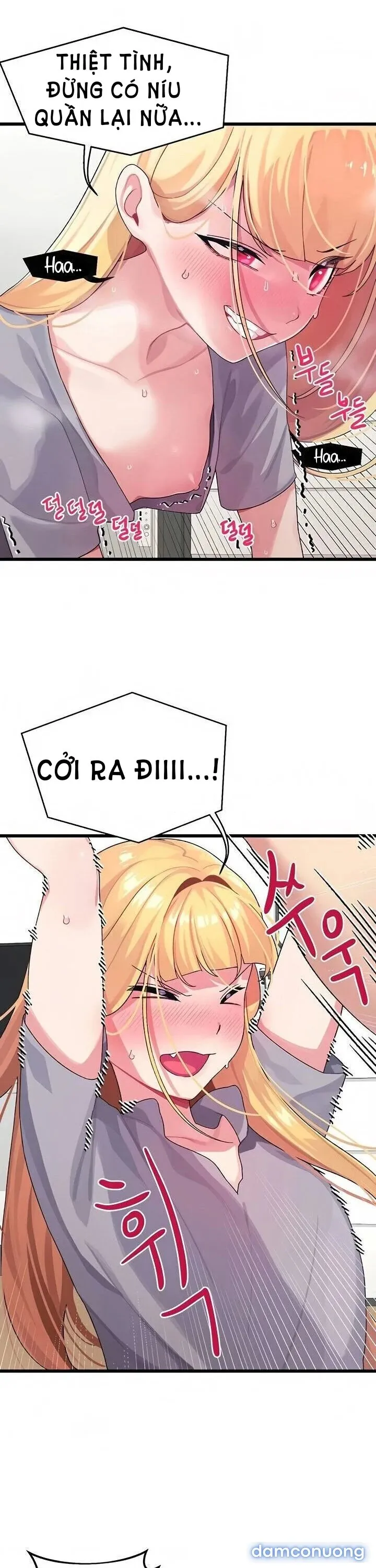 Liên Kết Doki Doki 