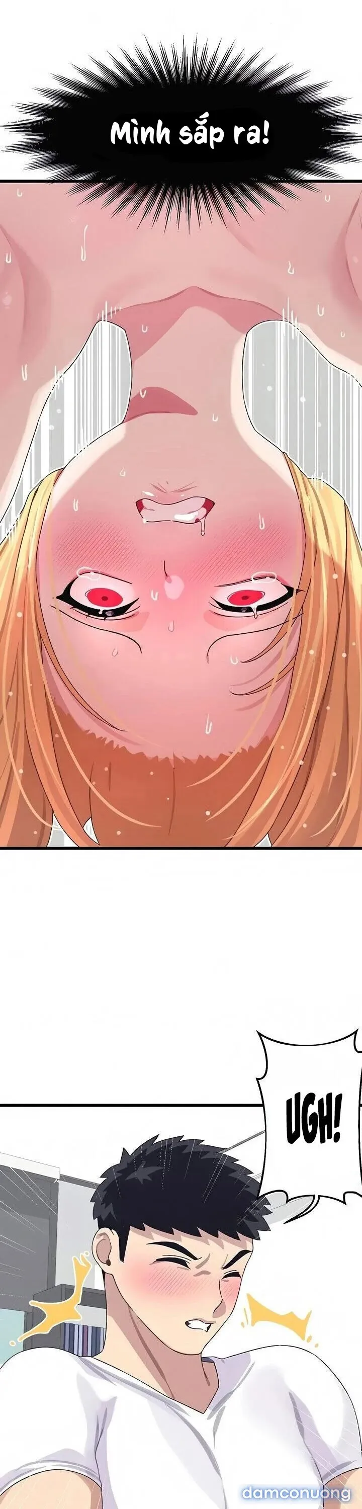 Liên Kết Doki Doki 