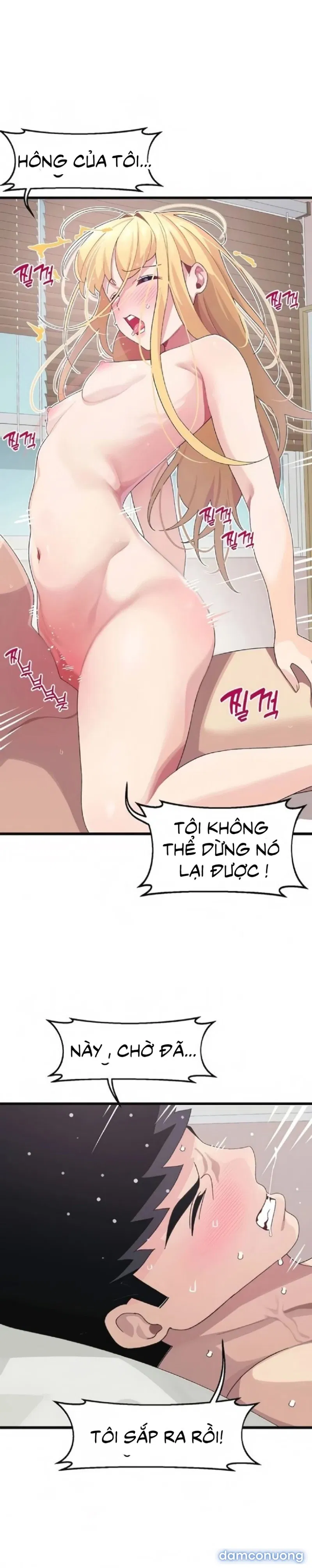 Liên Kết Doki Doki 