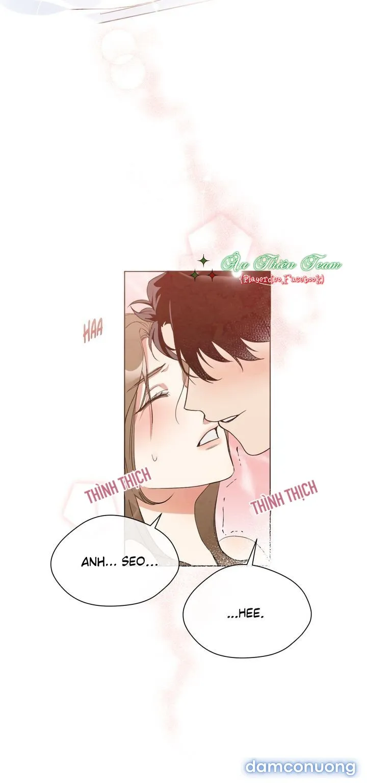 Giấc Mơ Ngọt Ngào 