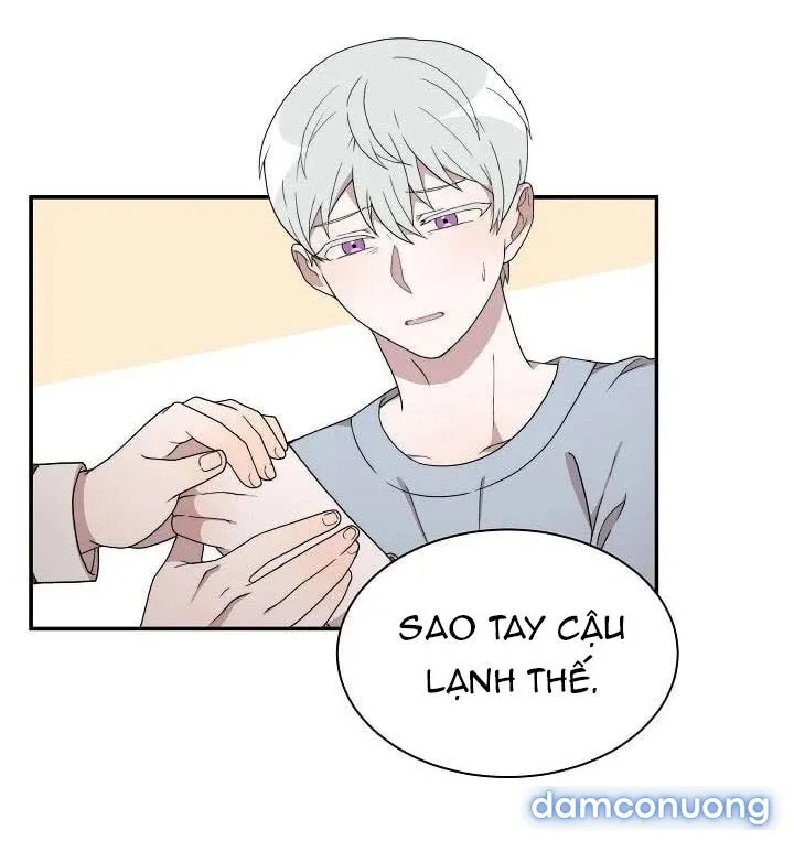 Giấc Mơ Ngọt Ngào 