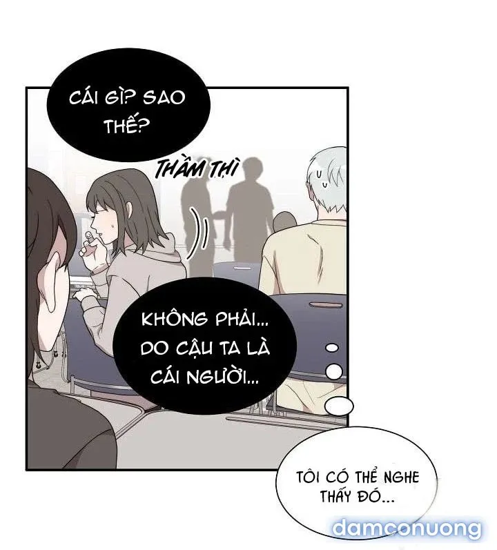 Giấc Mơ Ngọt Ngào 