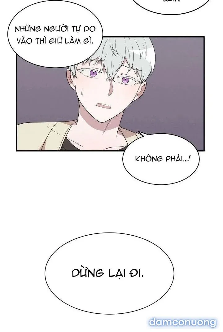 Giấc Mơ Ngọt Ngào 