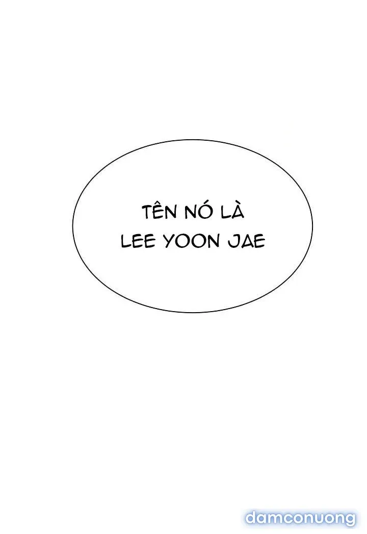 Giấc Mơ Ngọt Ngào 