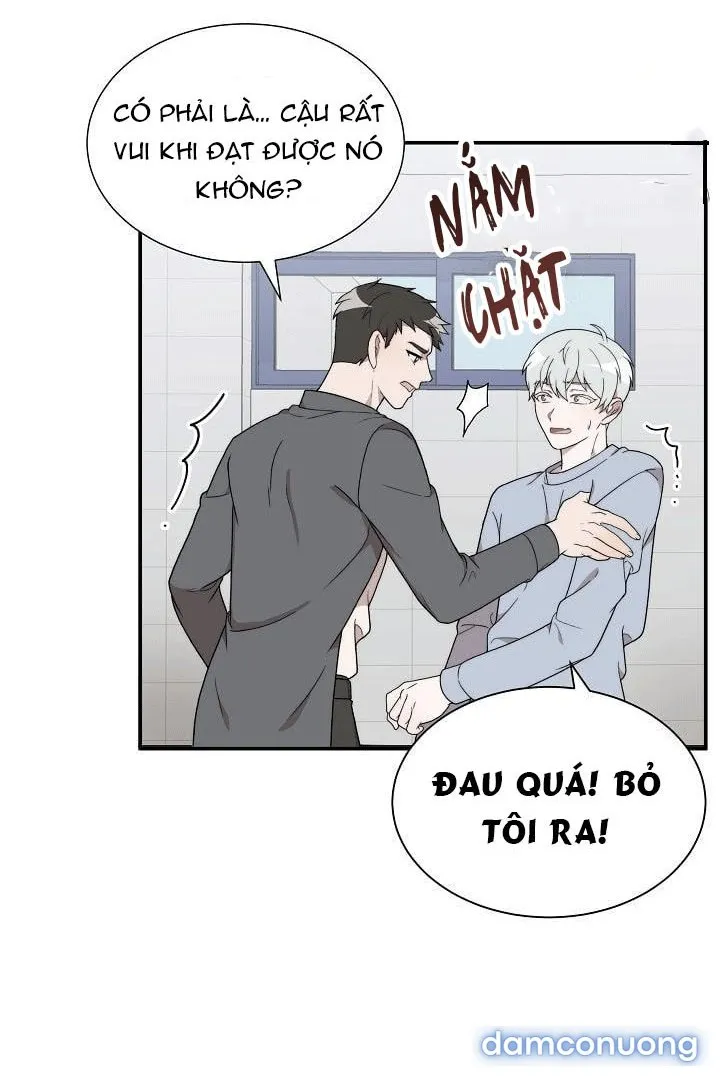 Giấc Mơ Ngọt Ngào 
