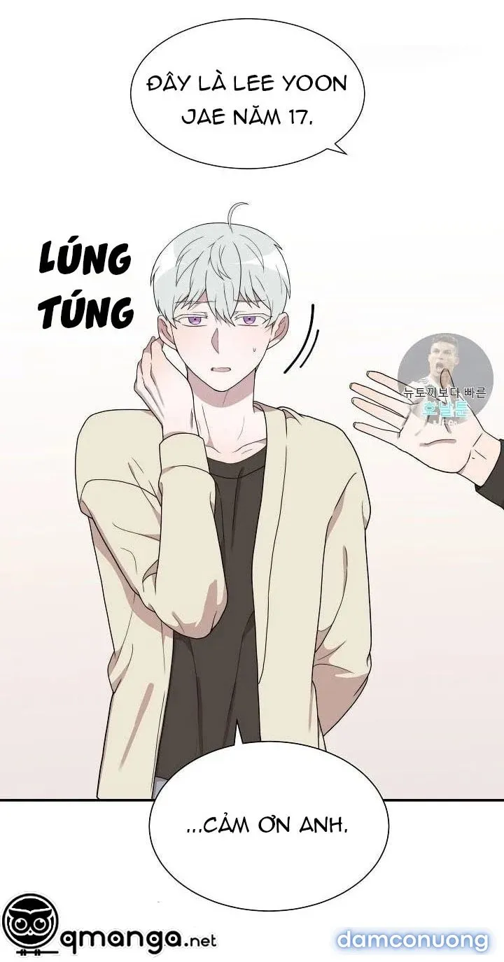 Giấc Mơ Ngọt Ngào 