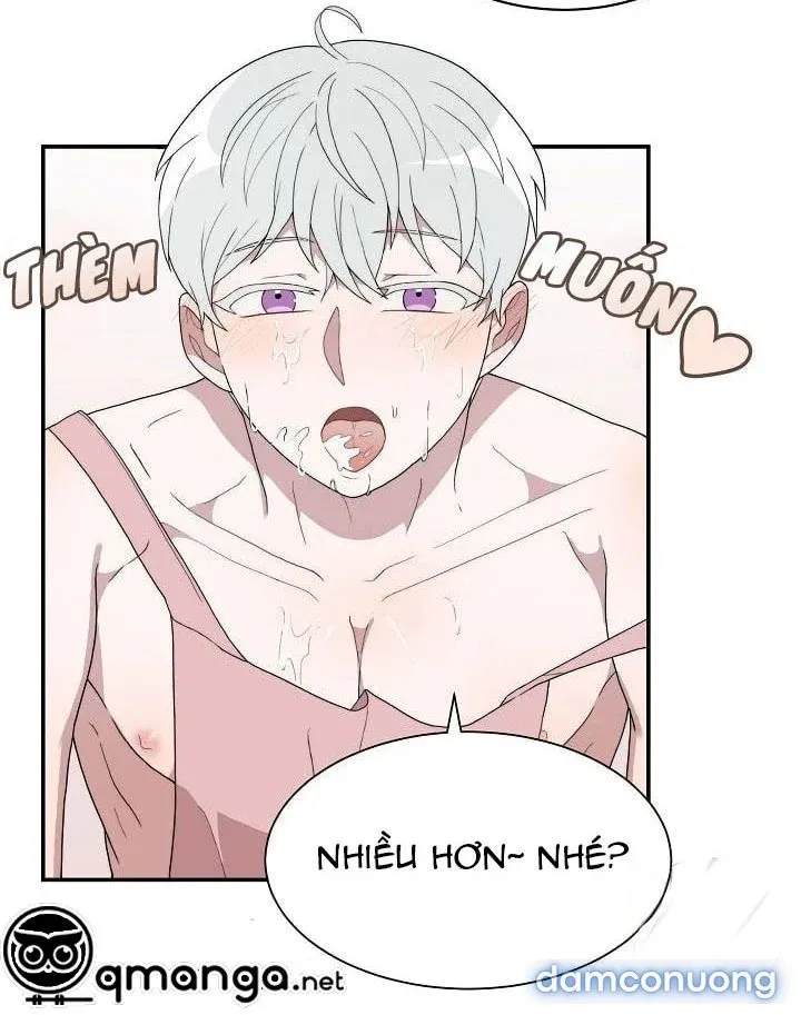 Giấc Mơ Ngọt Ngào 