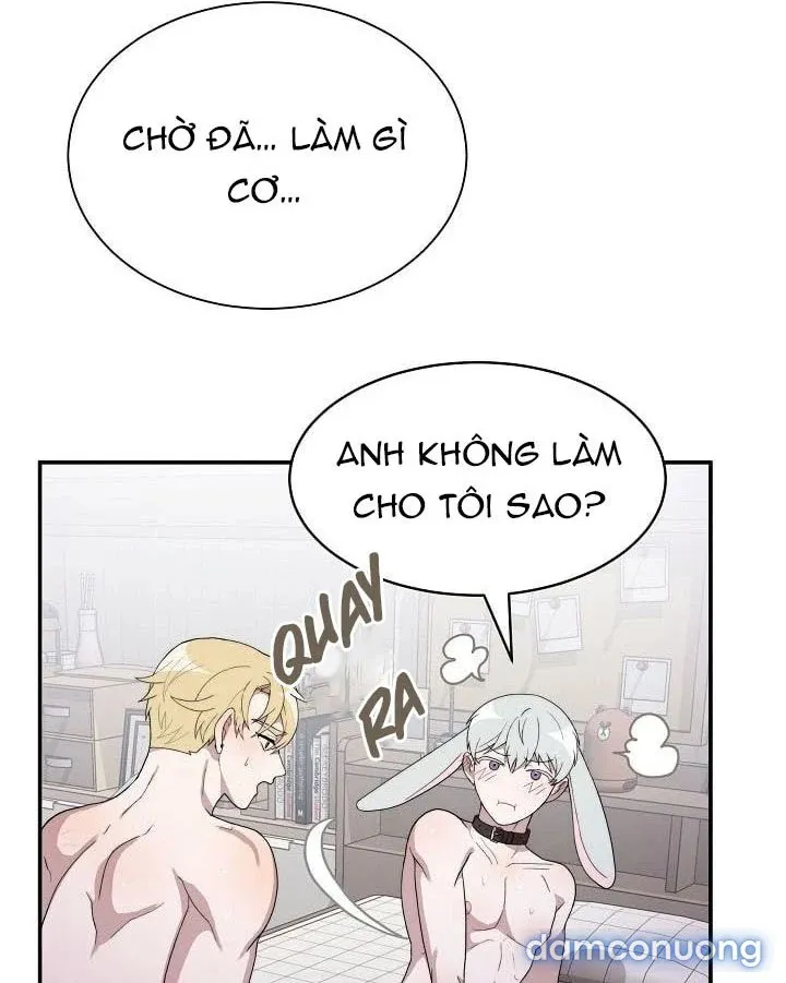 Giấc Mơ Ngọt Ngào 