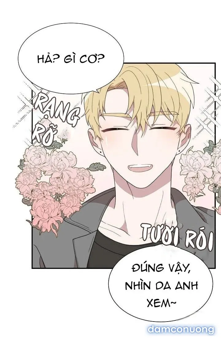 Giấc Mơ Ngọt Ngào 