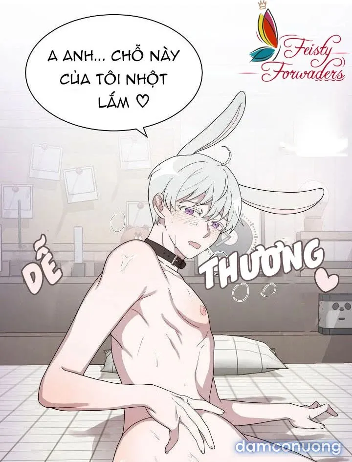 Giấc Mơ Ngọt Ngào 