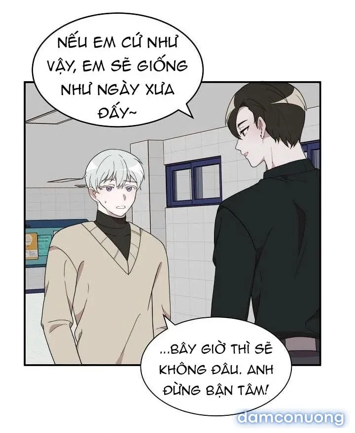 Giấc Mơ Ngọt Ngào 